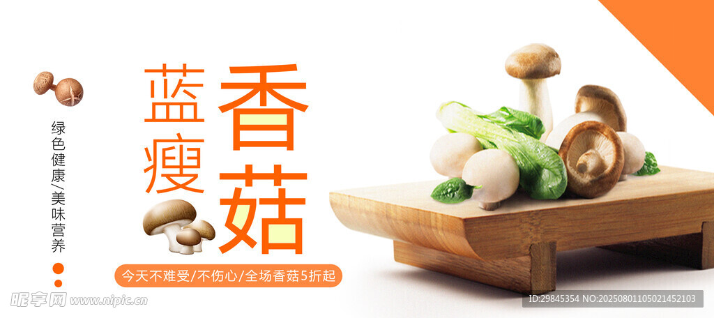 蓝瘦香菇静物展示