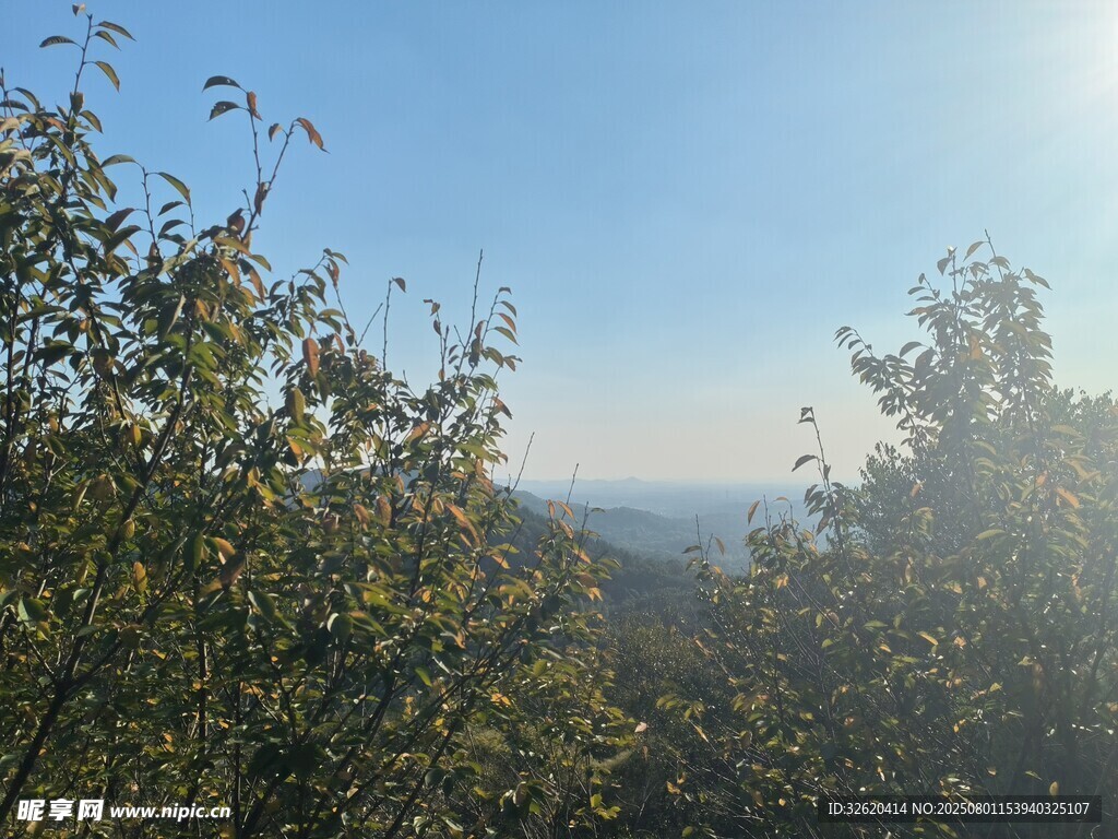 山林阳光风景