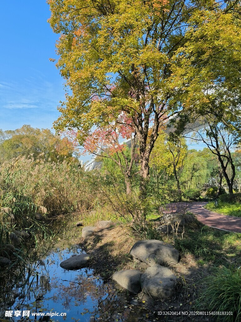 秋日溪边美景