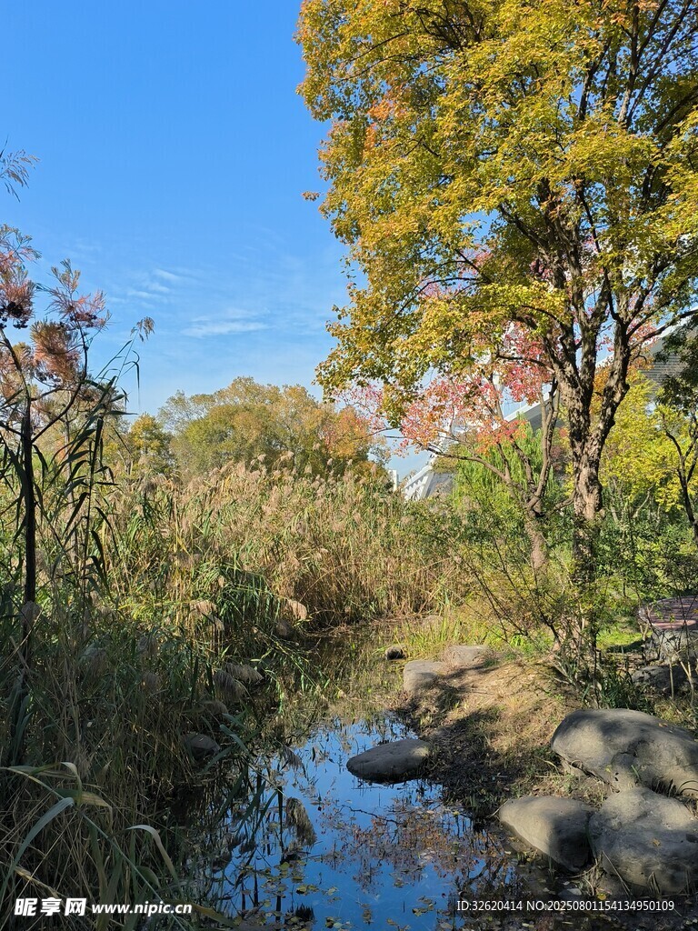 秋日溪边风景