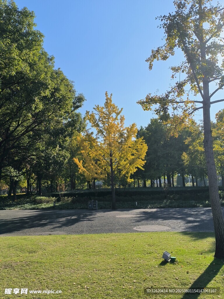 秋日草坪上的惬意时光