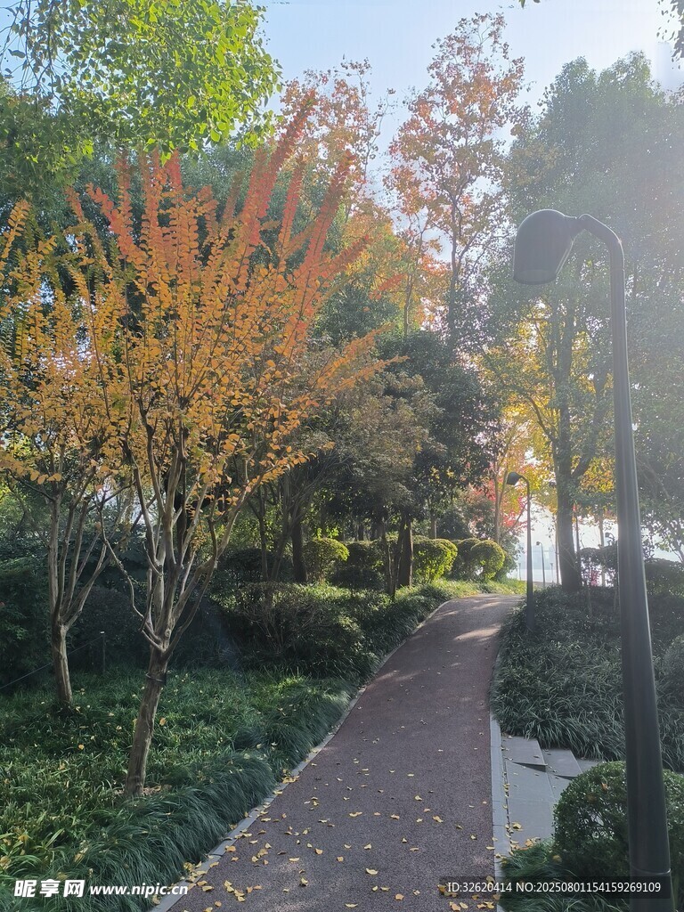 秋日公园小径美景