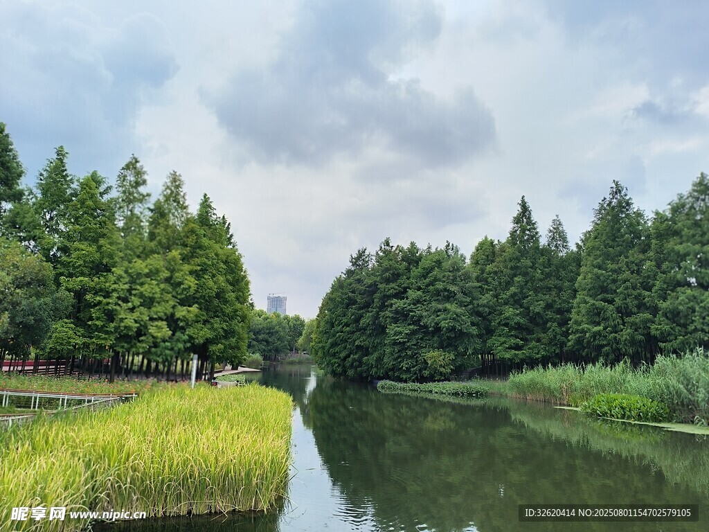 河畔绿野风光