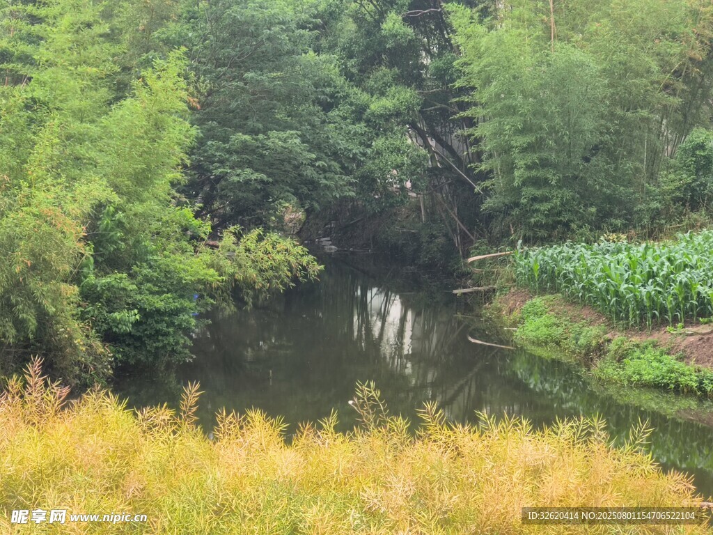 清幽林间小河畔美景