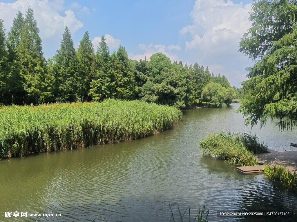 河畔葱郁景致