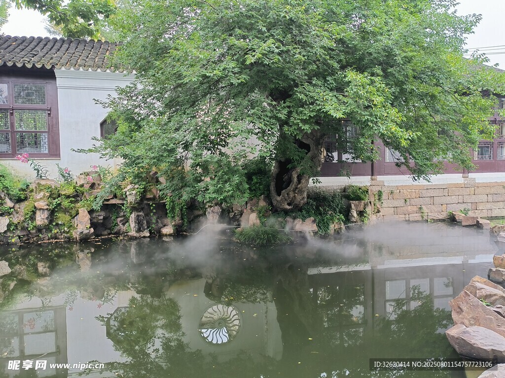 中式庭院池塘绿树景致