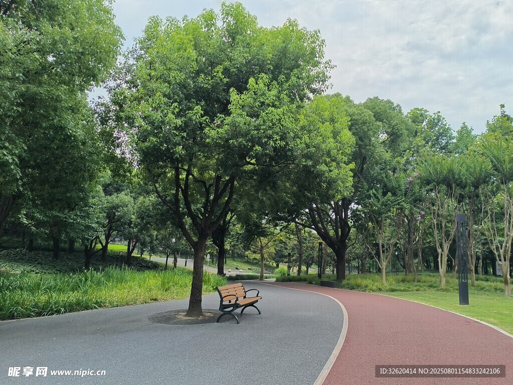 公园林荫小道休闲场景