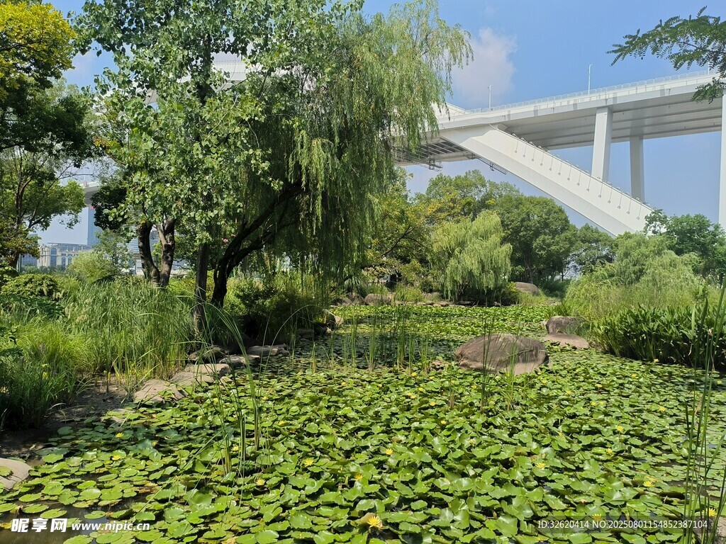湖畔绿植景观