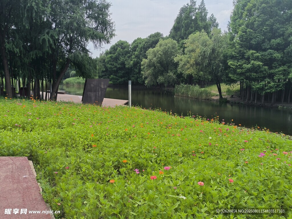 河畔绿意盎然的清新草地