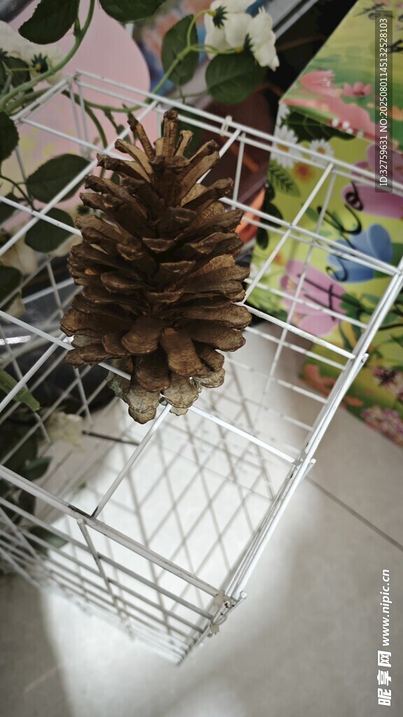 白色铁艺架上的松果摆件