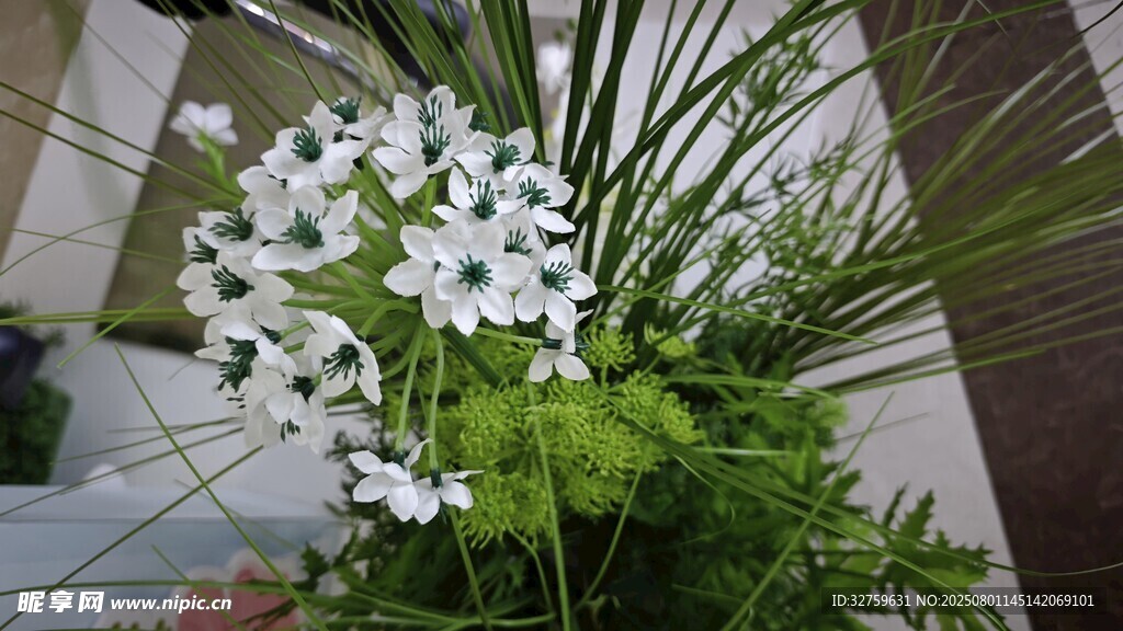 清新白色花卉绿植组合