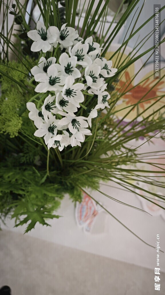 白色小花与绿植组合