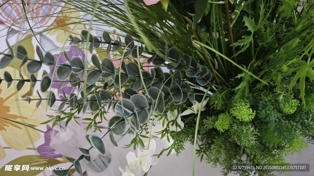 清新绿植花卉组合