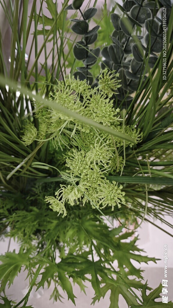 清新绿植景观