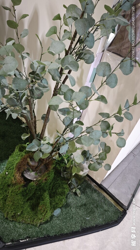 精致盆栽绿植景观