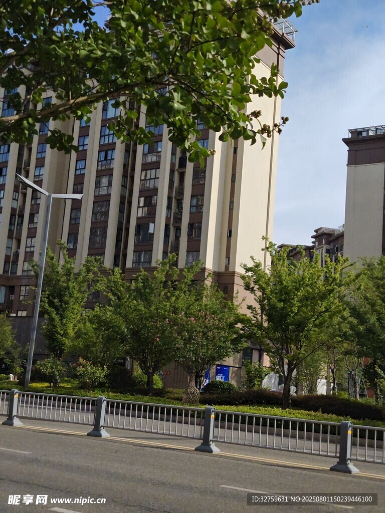 城市街道旁的高楼与绿树