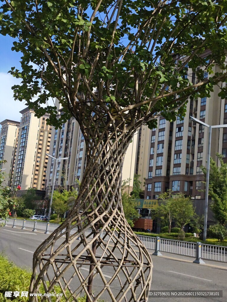 造型独特的编织树木景观