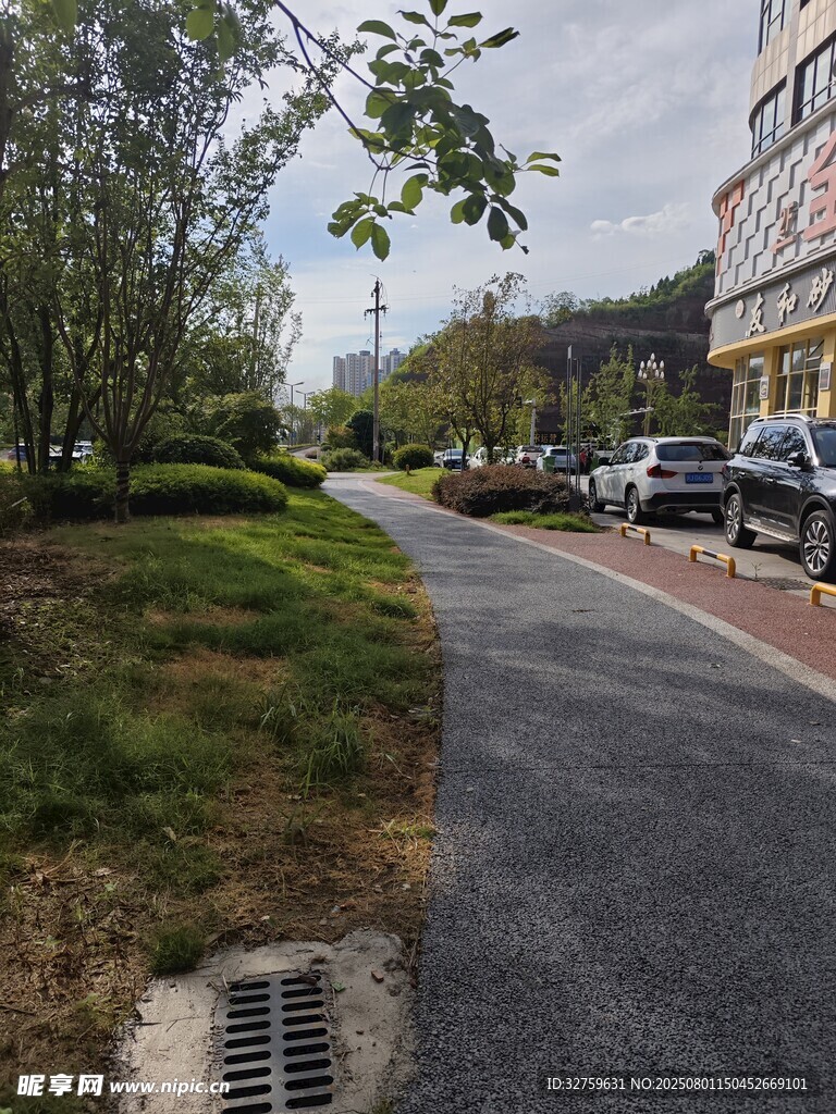 城市中整洁的林荫道路