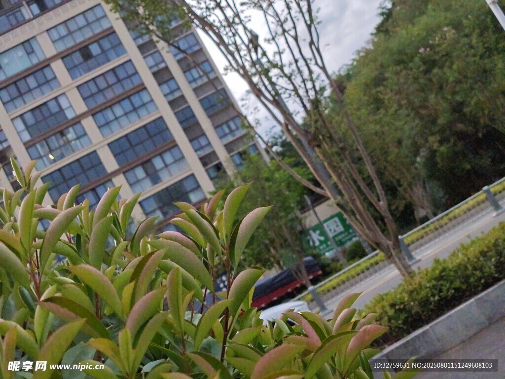 城市绿植与现代建筑景观