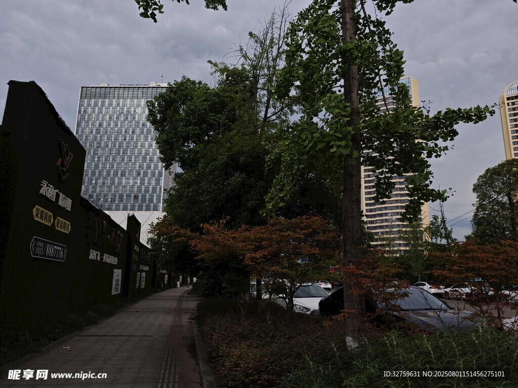 城市中的绿植与建筑景观