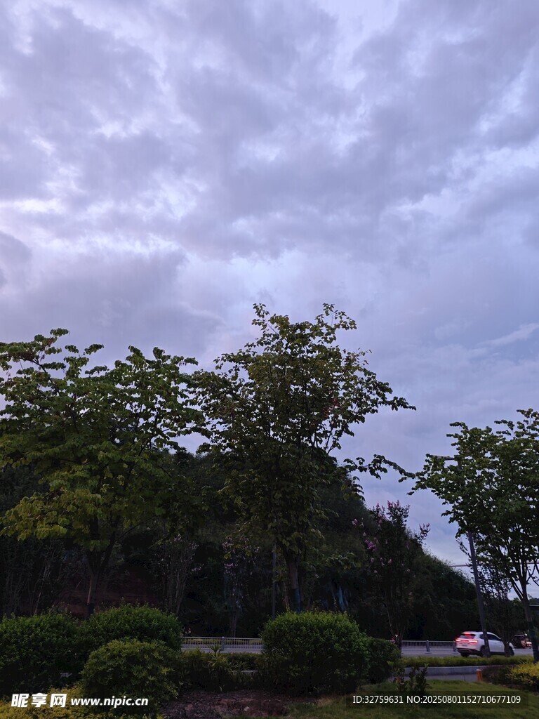 阴天时的绿树与天空景色