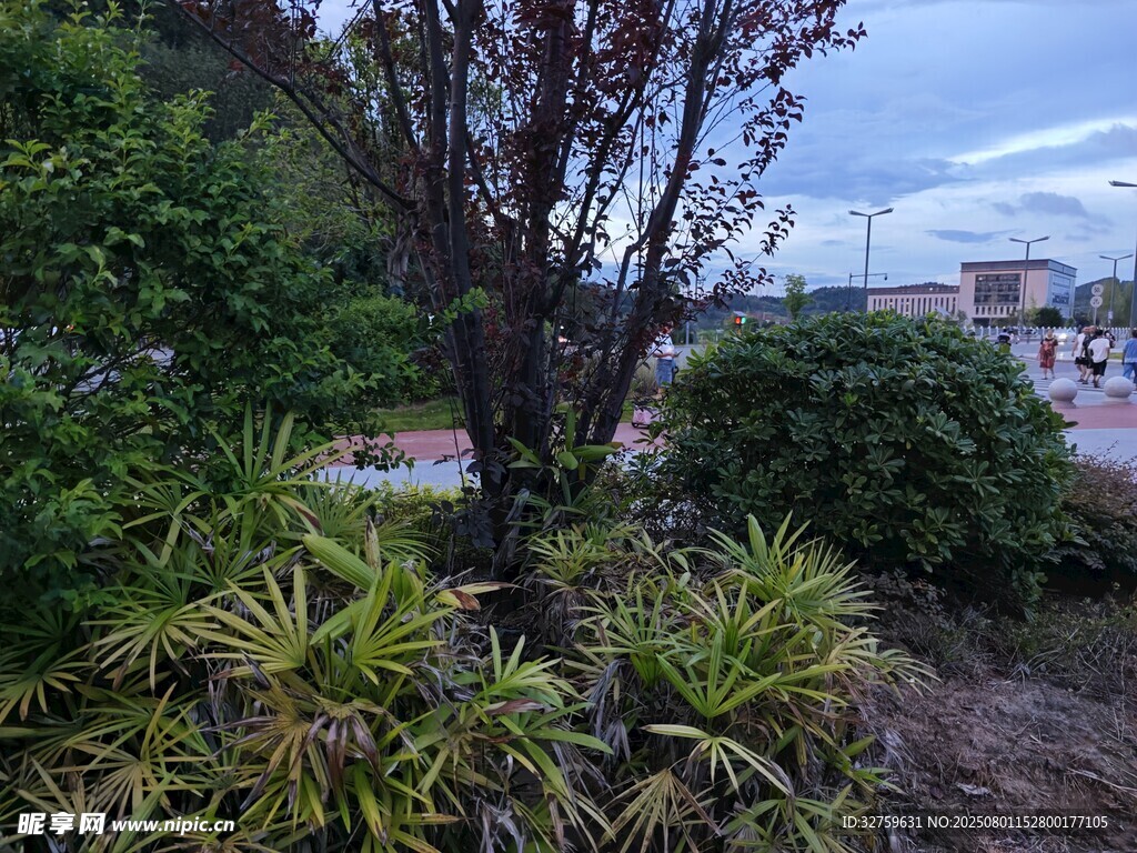 户外绿植景观