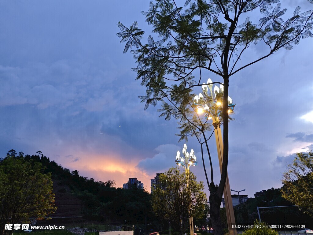 夜幕下的发光树景观