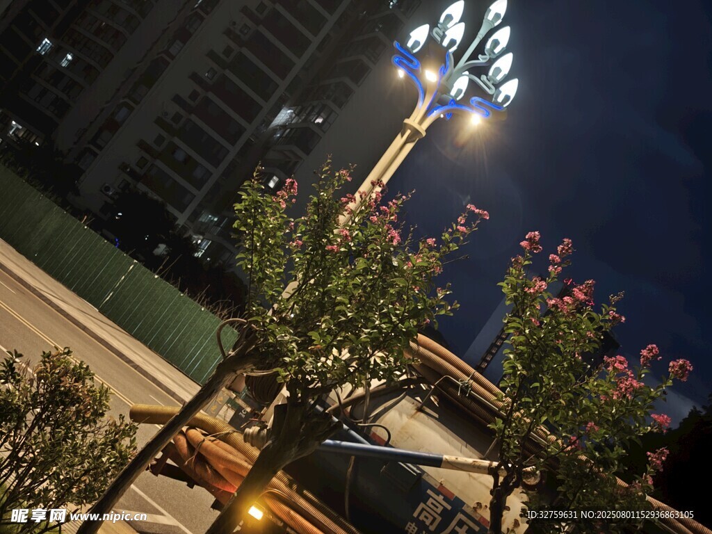 夜晚街边路灯与绿植景观