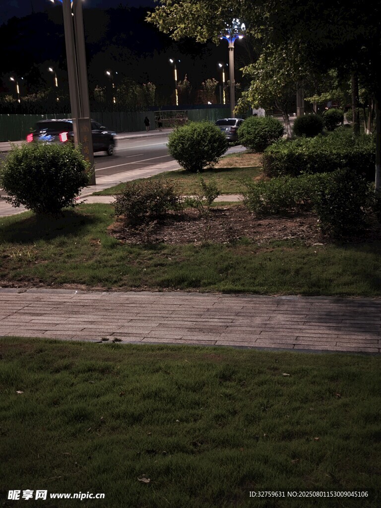 夜晚公园小径绿植景观