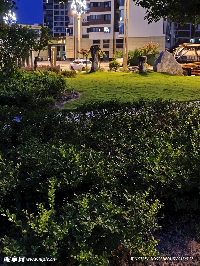 城市夜景下的绿植与建筑