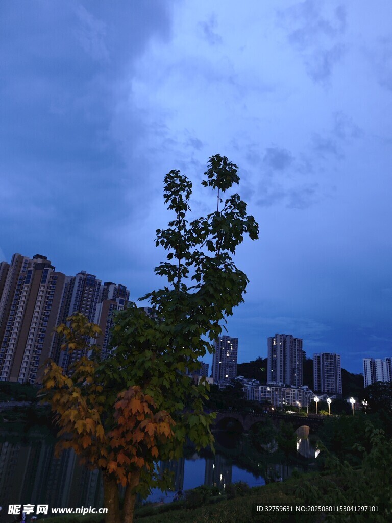 黄昏湖畔高楼与树木景致