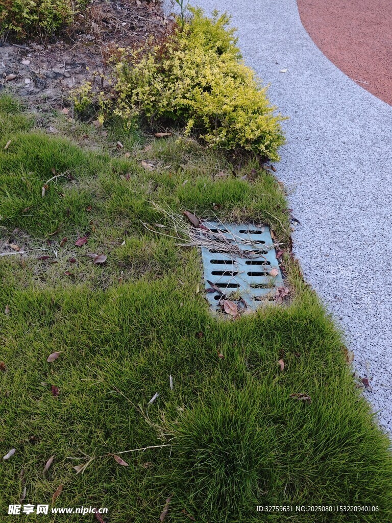 草地中的金属排水格栅