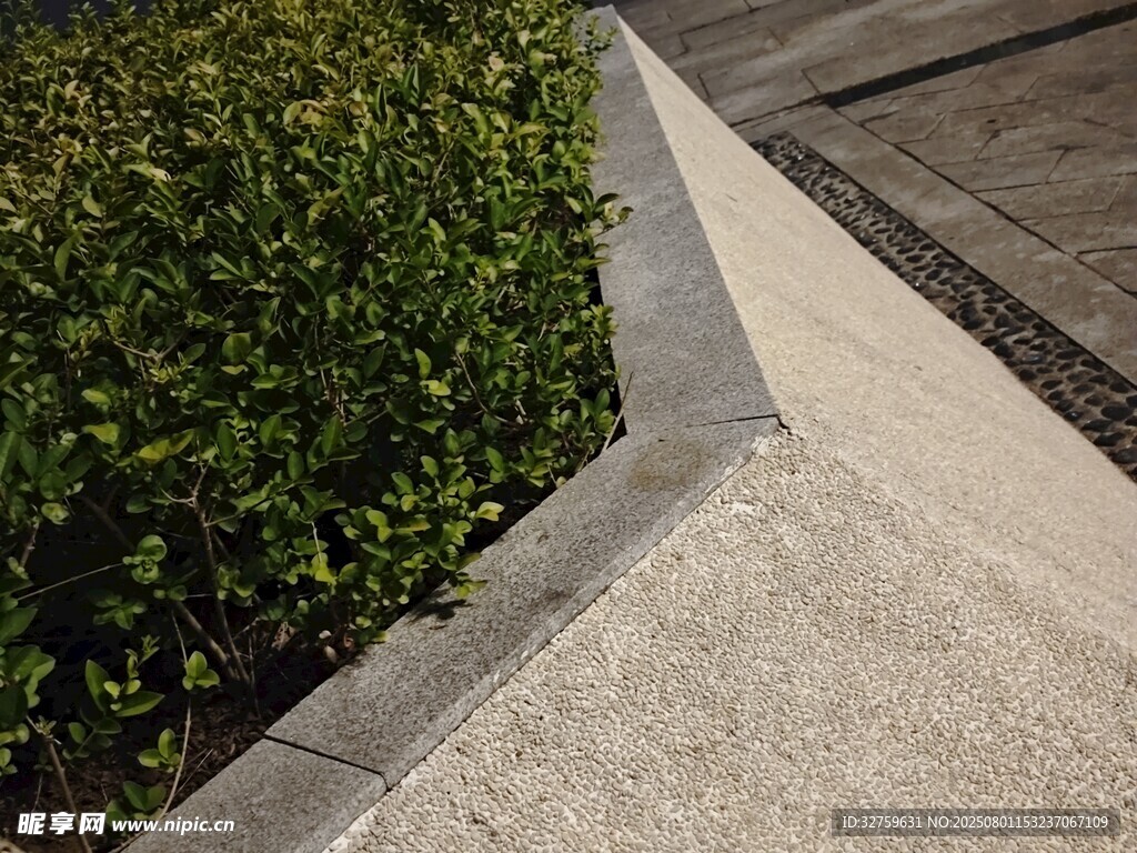路边绿植与水泥步道
