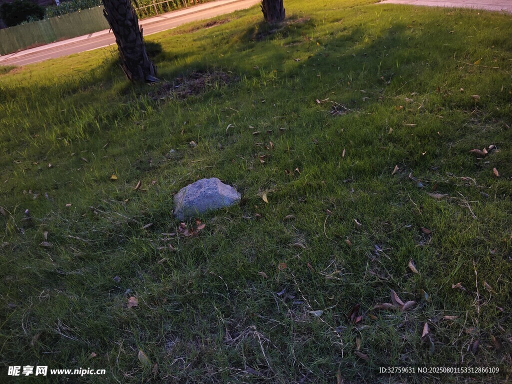 草地上的灰色物体