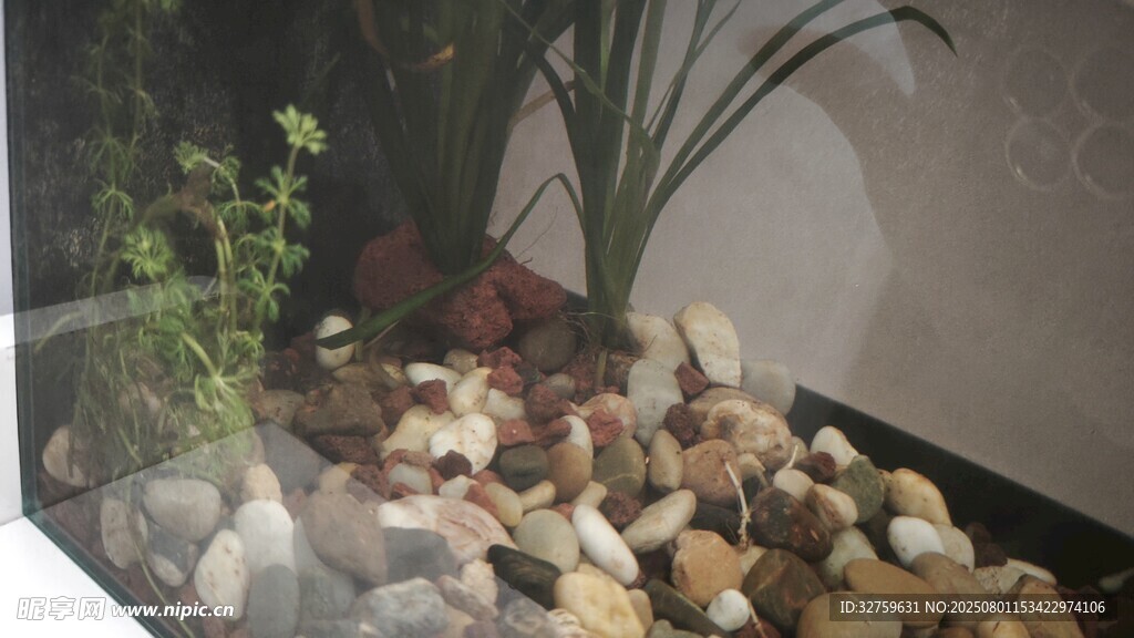室内石景绿植组合景观