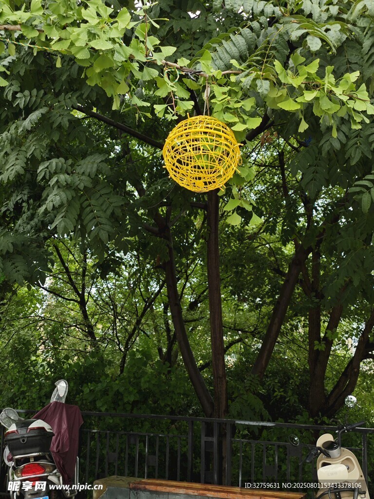 树上悬挂的黄色圆形标识牌