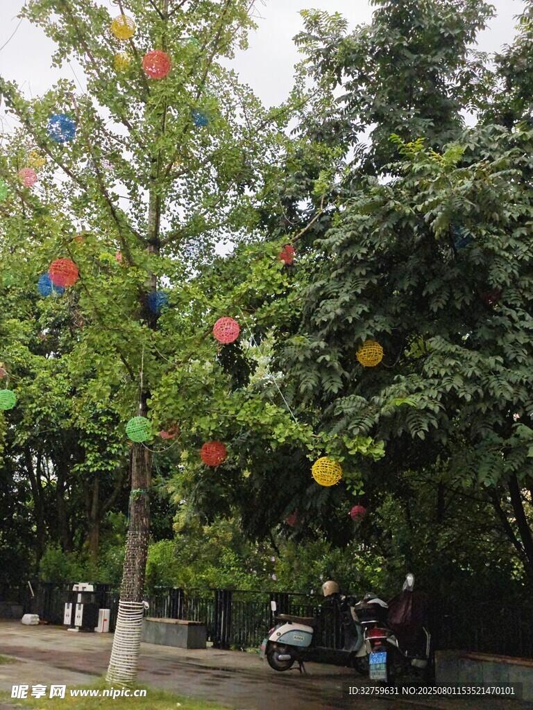树上挂彩球营造欢乐氛围