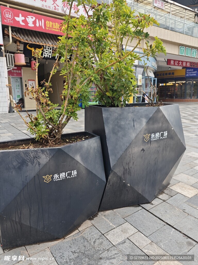城市街头独特造型绿植花箱