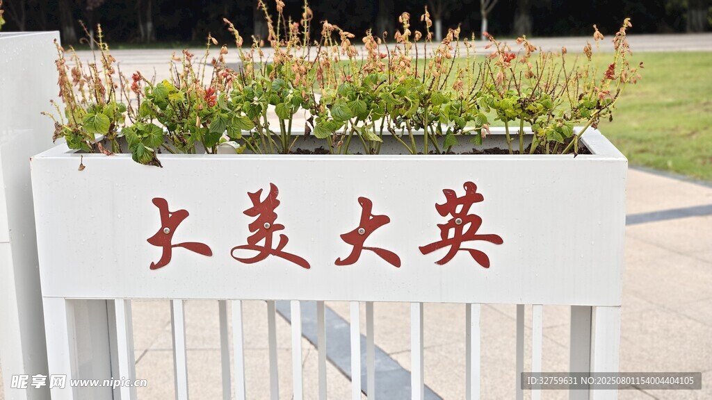 大美大英景观花坛