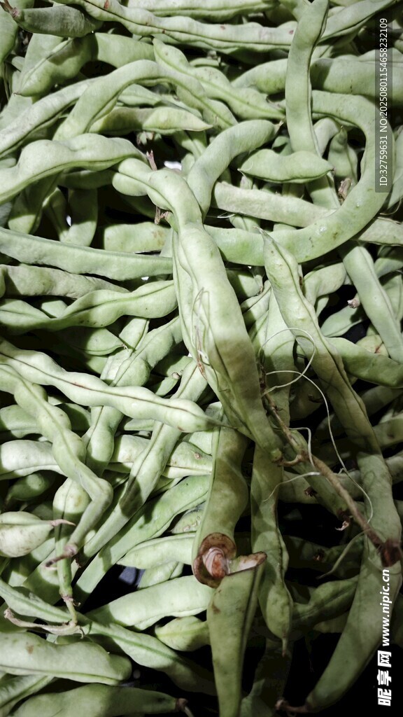 一堆绿色菜
