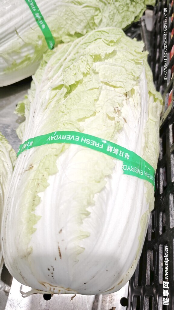 新鲜大白菜待售
