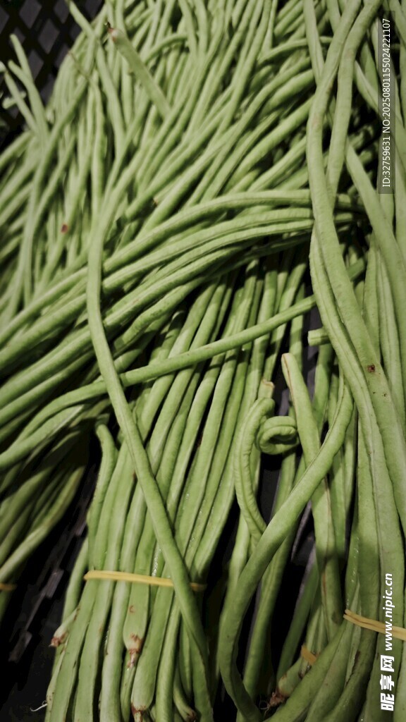 新鲜长豆角成捆摆放