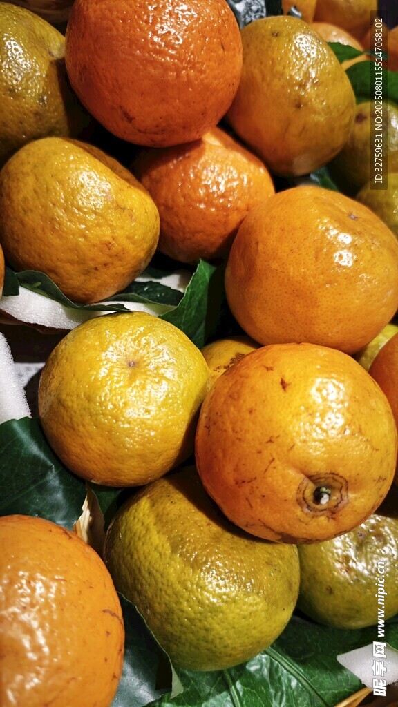 新鲜饱满的柑橘果实