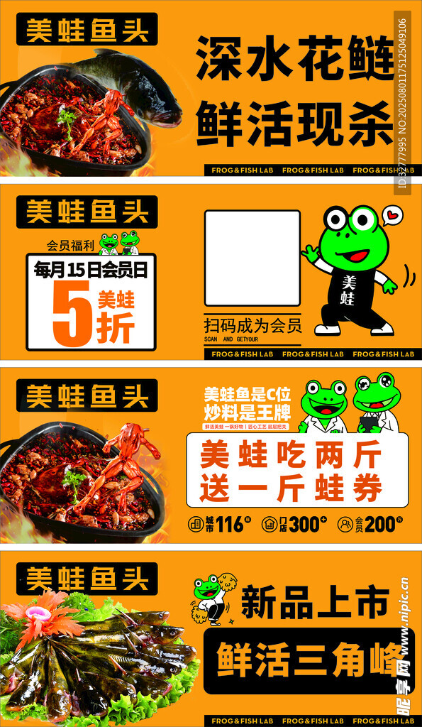 美蛙鱼头