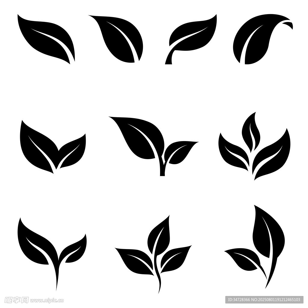 简约叶片图标集合