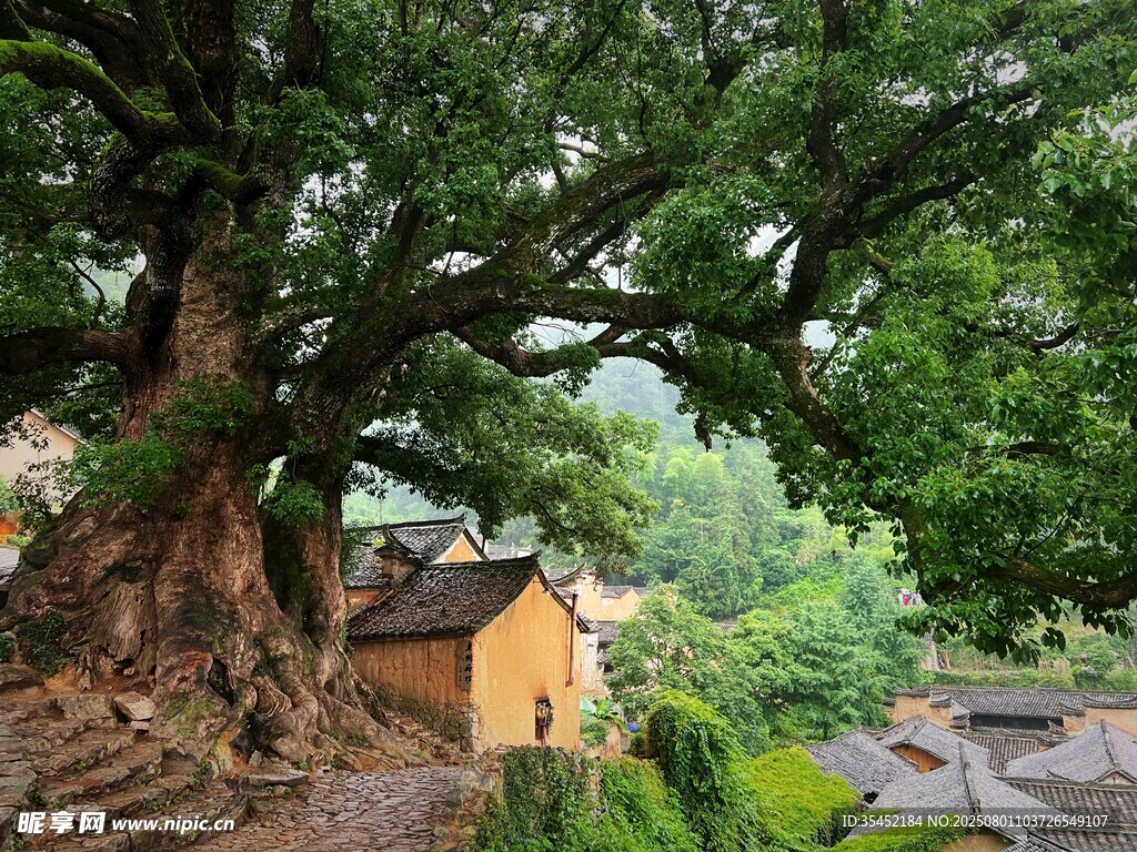 古山村