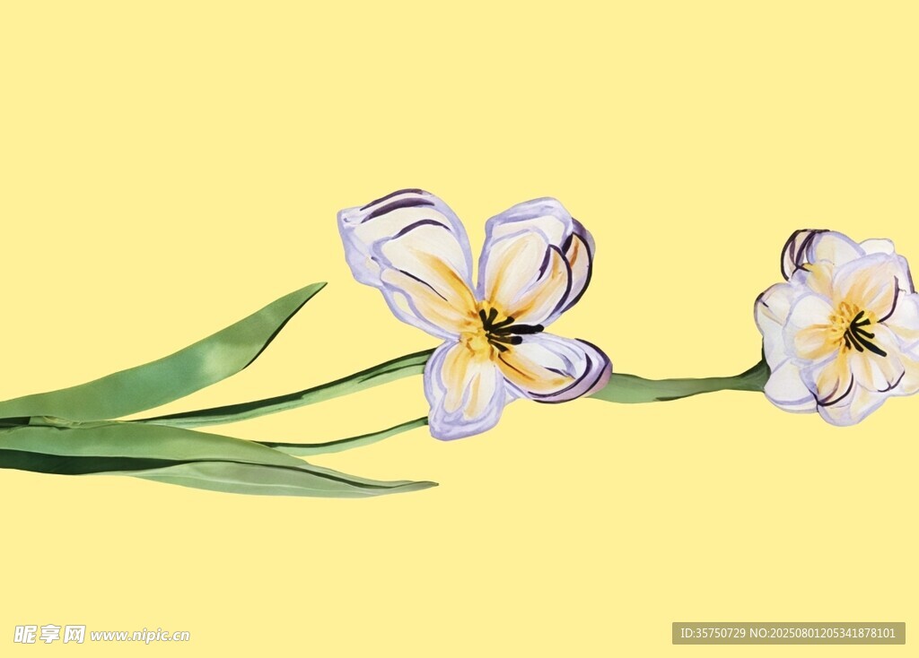 定位花