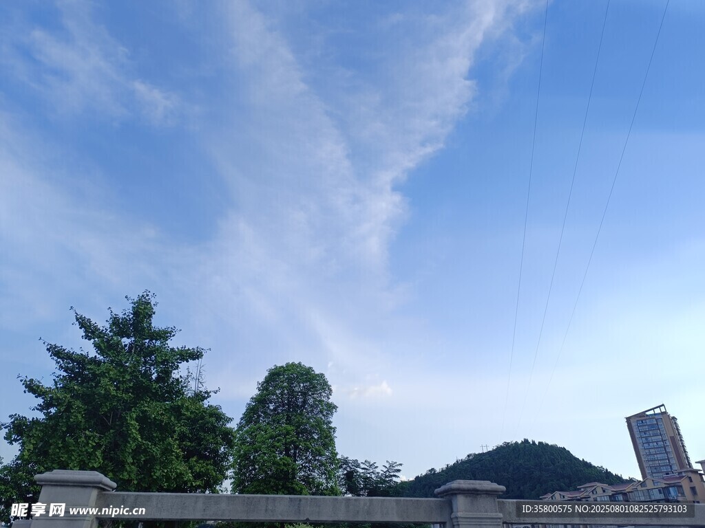 蓝天白云下的绿树景致
