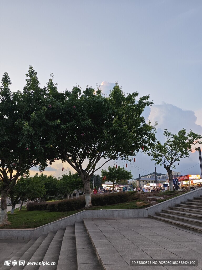 户外阶梯旁的绿树景观