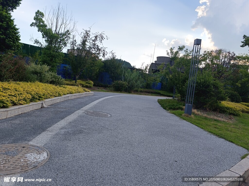宁静的林荫道路景观